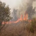 SOS Incendi l’impegno dell’amministrazione SOS Incendi l’impegno dell’amministrazione
