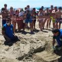Deposizione di uova della tartaruga marina Caretta caretta sul Litorale di Fondi