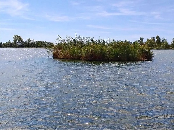 Ballena Lago di Fondi 02