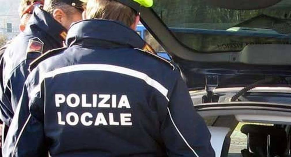 Denunce Polizia Locale