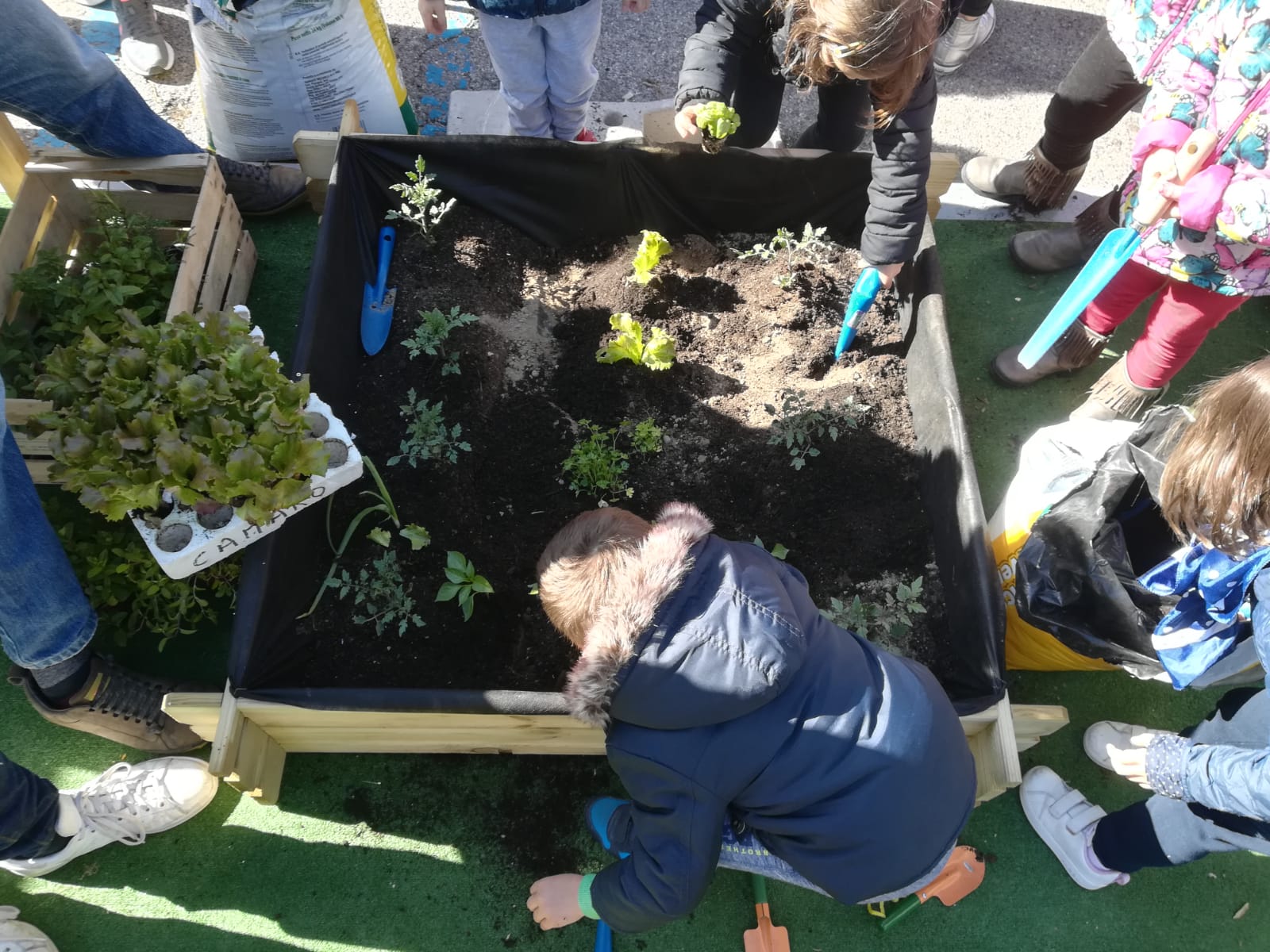 IMG 20190405 WA0173 1