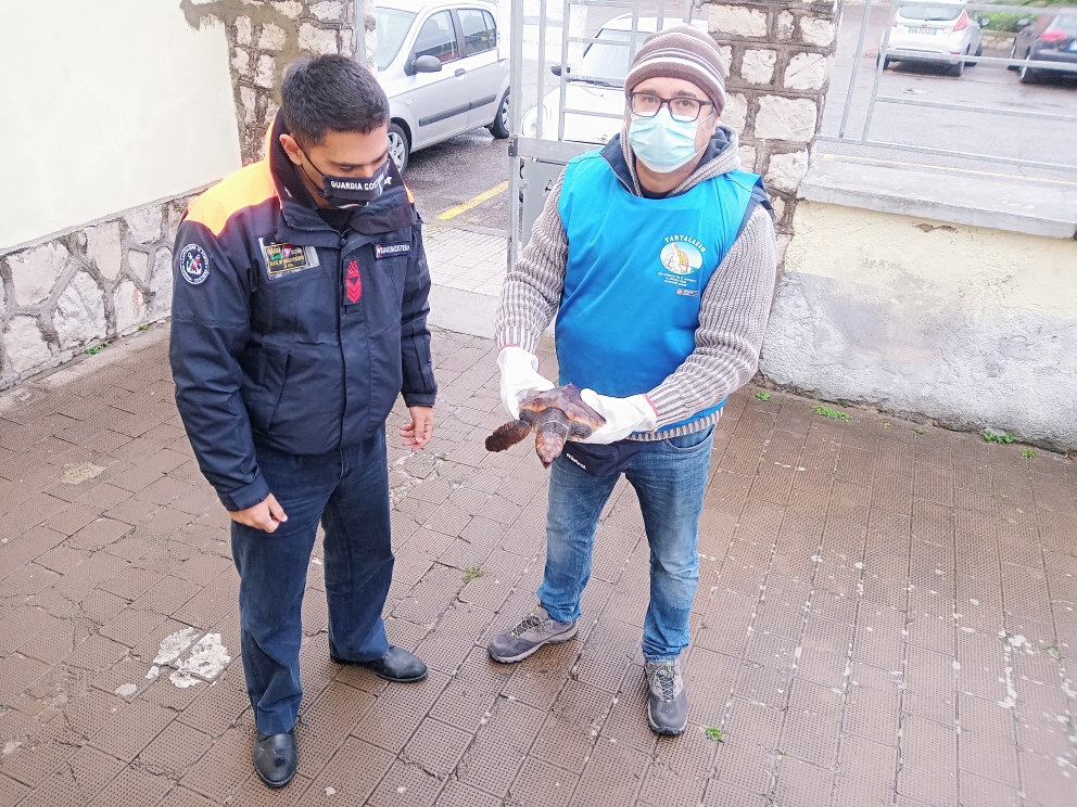 IMG 20201209 134524196