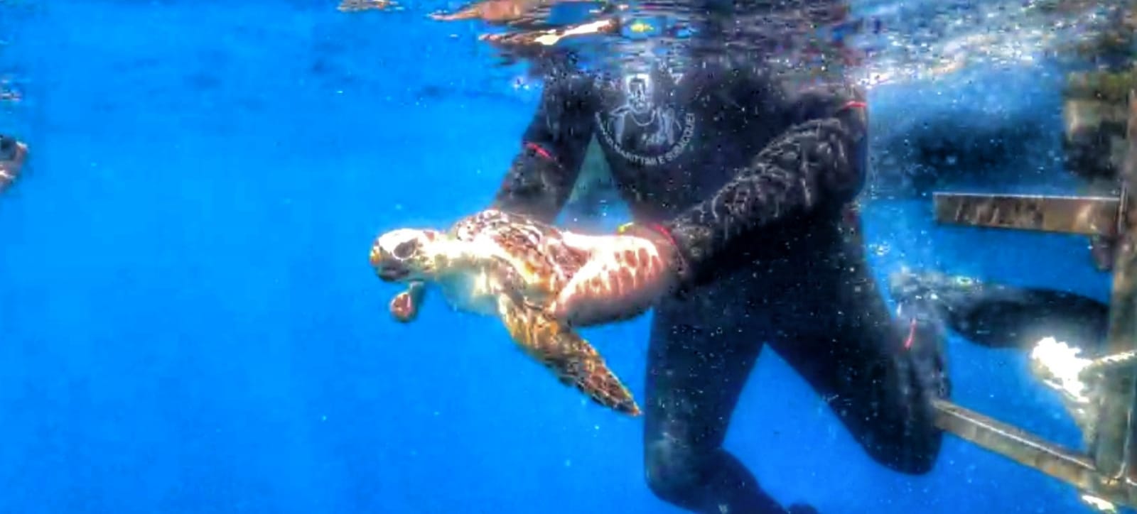 WhatsApp Image 2020 05 27 at 13.54.21