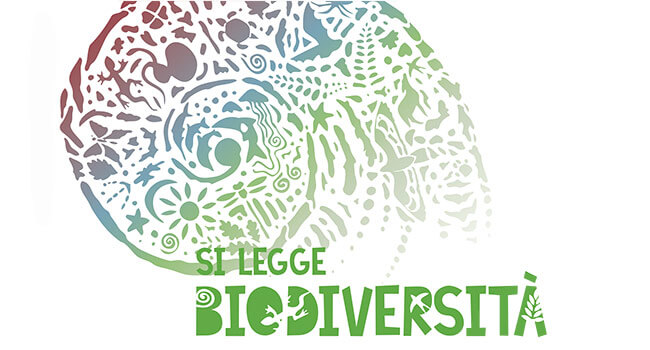 biodiversità 1