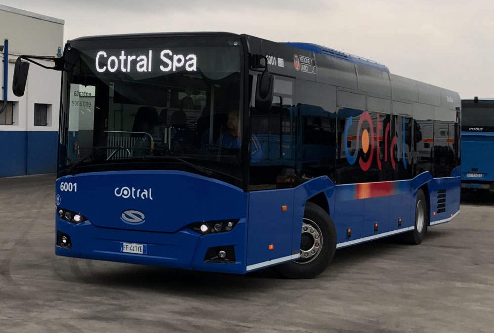 bus cotral
