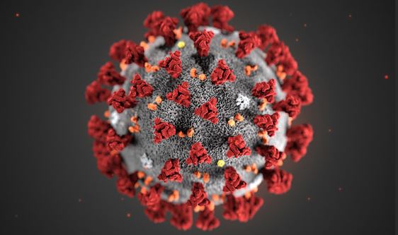coronavirus4